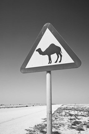 Framed Qatar, Al Zubarah. Camel Crossing Sign-Road to Al-Zubarah NW Qatar Print