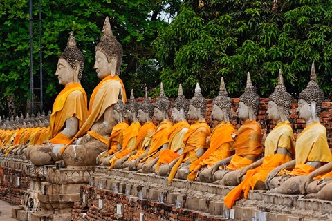 Framed Row of Buddha statues, Wat Yai Chaya Mongkol or The Great Temple of Auspicious Victory, Ayutthaya, Thailand Print