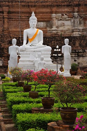 Framed White Buddha, Wat Yai Chaya Mongkol or The Great Temple of Auspicious Victory, Ayutthaya, Thailand Print