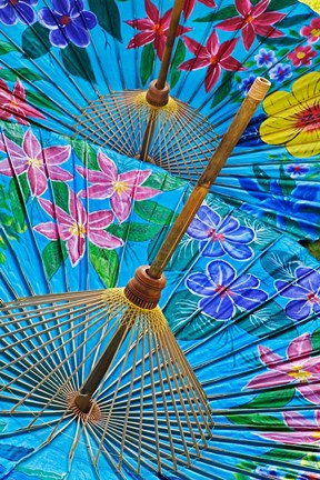 Framed Decorative umbrellas, Chiang Mai, Thailand Print