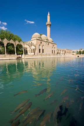 Framed Halil-ur Rahman Mosque, Pool of Abraham, Urfa, Turkey Print