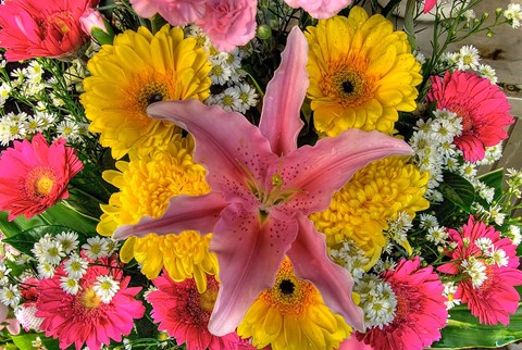 Framed Thailand, Bangkok Close-up of flowers on display at market Print