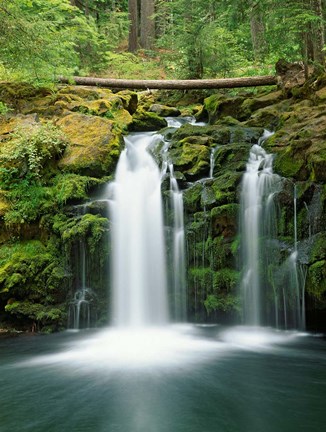 Framed View of Whitehorse Falls, Umpqua National Forest, Oregon Print