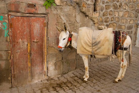 Framed Donkey and Cobbled Streets, Mardin, Turkey Print
