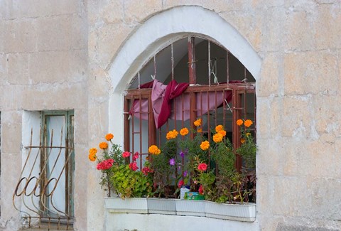 Framed Windows and Flowers in Village, Cappadoccia, Turkey Print