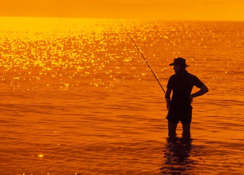 Framed Fishing, Surfer&#39;s Paradise, Australia Print