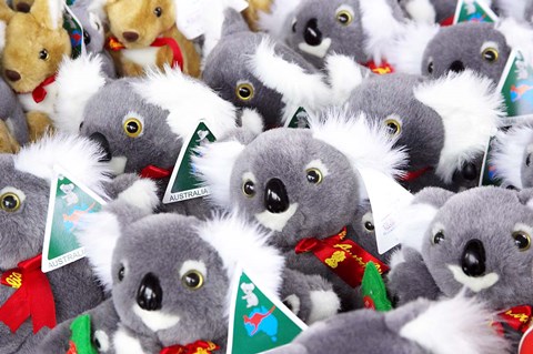 Framed Fluffy Koalas and Kangaroos, Queen Victoria Market, Melbourne, Victoria, Australia Print