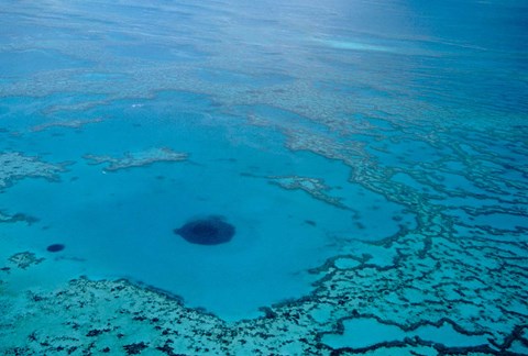 Framed Australia, Great Barrier Reef, Blue Hole Print