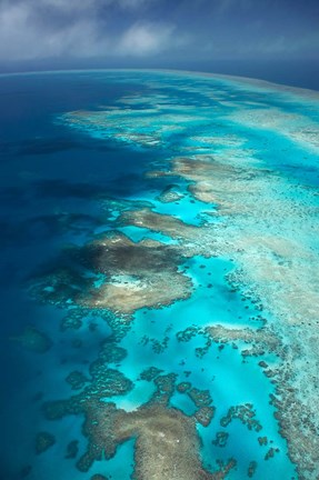 Framed Arlington Reef, Great Barrier Reef Marine Park, North Queensland, Australia Print