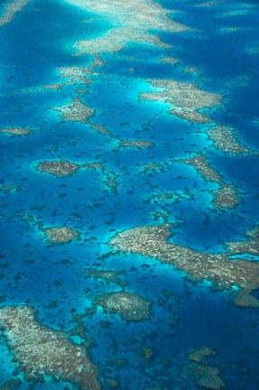 Framed Undine Reef, Great Barrier Reef, Queensland, Australia Print