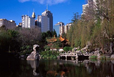 Framed Chinese Garden, Darling Harbor, Sydney, Australia Print