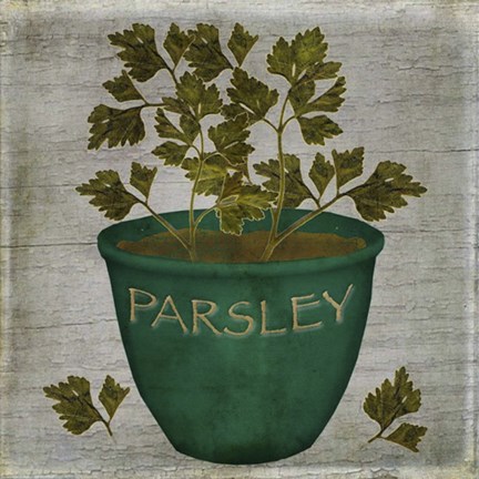 Framed Herb Parsley Print