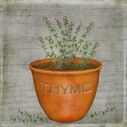 Framed Herb Thyme Print