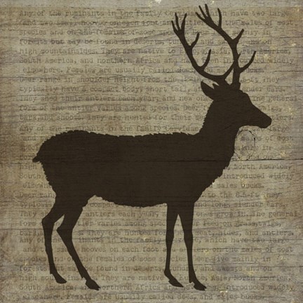 Framed Deer Print