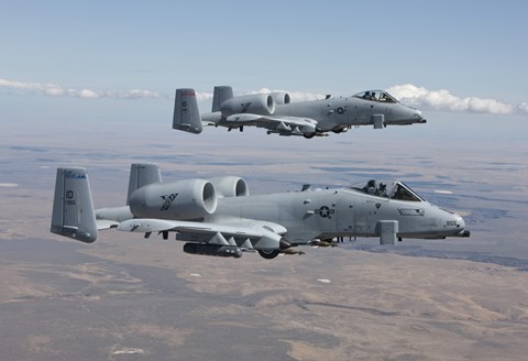 Framed Two A-10 Thunderbolts, Saylor Creek, Idaho Print
