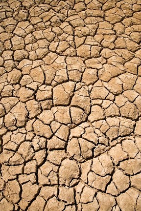 Framed Dry Irrigation Pond, Strzelecki Track, Outback, South Australia, Australia Print