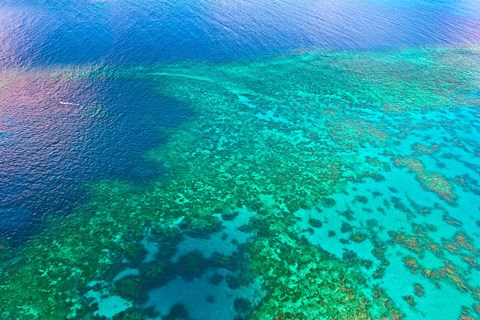 Framed Aerial view of the Great Barrier Reef, Queensland, Australia Print