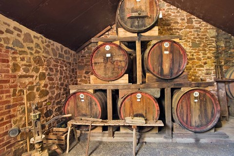 Framed Australia, Barossa Valley, Krondorf, Rockford Wines Print