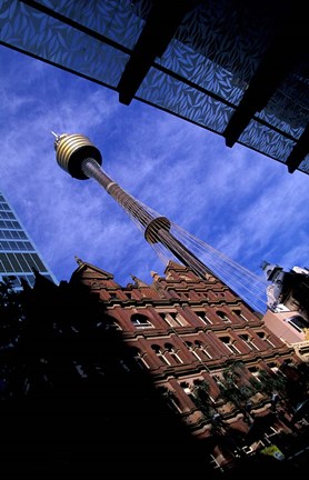 Framed AMP Tower and Highrises, Sydney, Australia Print