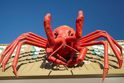 Framed Crustacean, Giant Lobster, Stanley, Tasmania, Australia Print