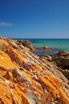 Framed Orange Lichen, Green Point, Ann Bay, Australia Print