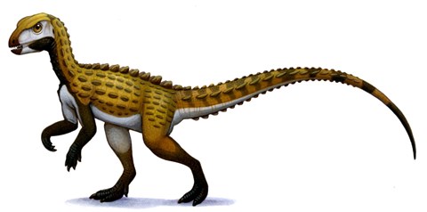 Framed Scutellosaurus Print