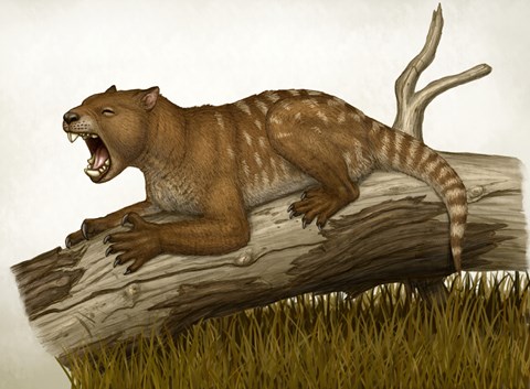 Framed Thylacoleo Carnifex Print