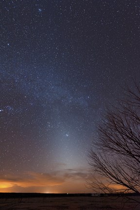 Framed Zodiacal Light and Milky Way over the Texas Plains Print