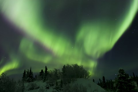 Framed Aurora Borealis Takes Flight Print