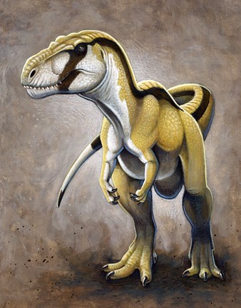 Framed Megalosaurus, a Large Meat-Eating Dinosaur of the Jurassic period Print