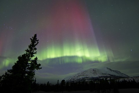 Framed Red and Green Aurora Borealis over Carcross Desert Print