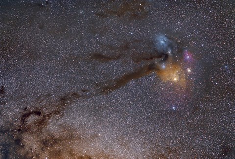 Framed Rho Ophiuchus Area in Sagittarius Print