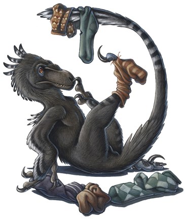 Framed Deinonychus Dinosaur Playing with Socks Print