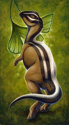 Framed Micropachycephalosaurus Print