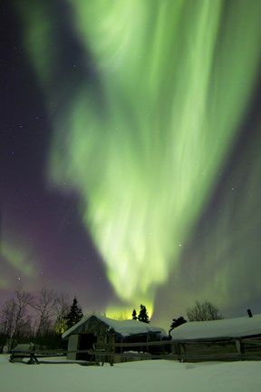 Framed Aurora Borealis and the Big Dipper Whitehorse, Yukon, Canada Print