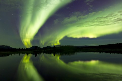 Framed Aurora Borealis Whitehorse, Yukon, Canada Print