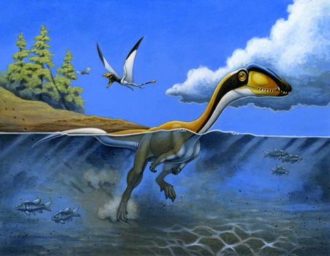 Framed Megapnosaurus Dinosaur Goes for a Swim Print