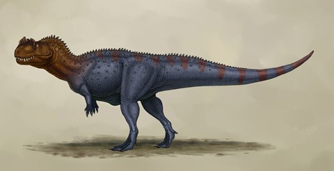 Framed Ceratosaurus Dentisulcatus Print