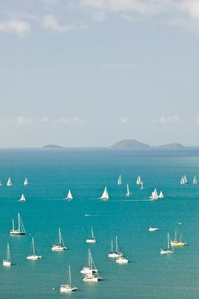 Framed Australia, Queensland, Whitsunday, Airlie, Sailboats Print