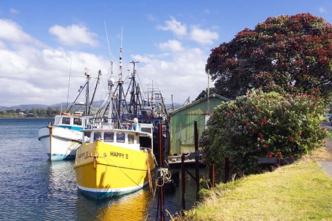 Framed Fishing Boats, Tauranga Harbor, Tauranga, New Zealand Print