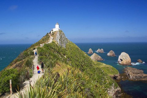 Framed Lighthouse, Nugget Point, South Island, New Zealand Print