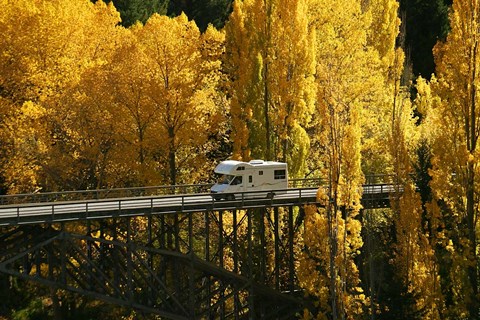 Framed Autumn Colors, Victoria Bridge, Kawarau Gorge, South Island, New Zealand Print