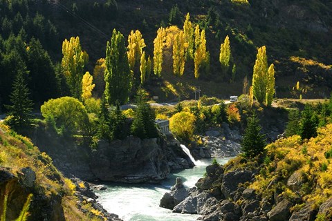 Framed Autumn Colours, Kawarau River, Kawarau Gorge, South Island, New Zealand Print