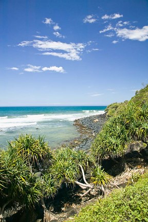 Framed Australia, Gold Coast, Burleigh Head NP beach Print