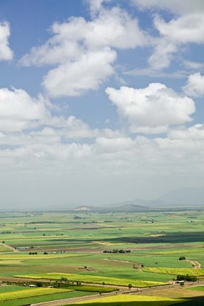 Framed Australia, Queensland, Coastal Plains agriculture Print