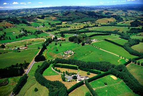 Framed Farmland, Brookby, South Auckland, New Zealand Print