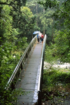 Framed Bridge Below Whangarei Falls, Northland, New Zealand Print