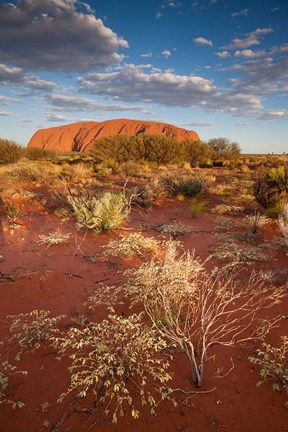 Framed Australia, Uluru-Kata Tjuta NP, Red desert, Ayers Rock Print