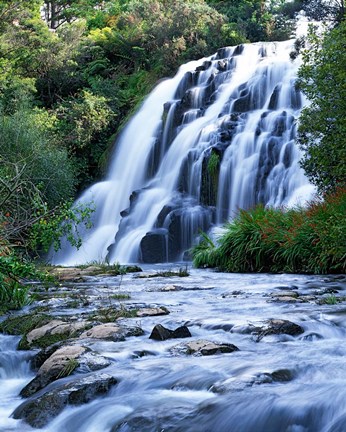 Framed Cascade, Karangahake Gorge, North Island, New Zealand Print