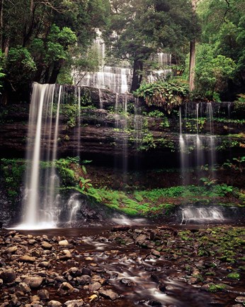 Framed Australia, Tasmania, Mount Field NP, Russell Falls Print